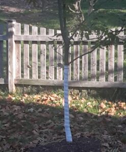 Dewitt 3-Inch by 50-Foot Tree Wrap White TW3W 24 71xpyMWp5gL