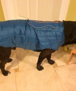Kurgo Loft Dog Jacket, Reversible Dog Coat, Wear with Harness or Sweater, Water Resistant, Reflective, Winter Coat For Large Dogs (Coastal Blue, XL) Extra Large Coastal Blue/Orange 65 71xqlSjospL