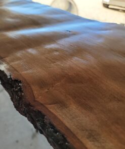 Pro Grade - Paint Brushes - 5 Ea - Paint Brush Set 41 71xqpZIfFL