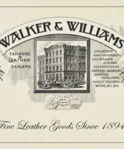 Walker & Williams M-41 Chestnut Brown Leather Mandolin Strap For A or F Types 19 71xrRmD3CML