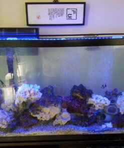 Finnex Planted 24/7 Fully Automated Aquarium LED, 36-Inch Not Controllable 36 Inch 39 71xwFgmHqNL