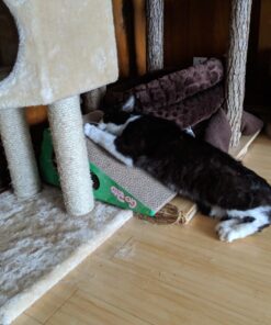 GoPets Premium Cat Scratcher - Wedge Shaped Corrugated Cardboard, Ergonomic Scratching Posts, Reversible Design, Lasts 2X Longer, with 1 Pack Catnip & Hidden Toy Cutouts for Endless Feline Play Fun 41 71xz1CASHbL 1