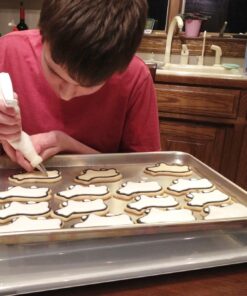 Nordic Ware Natural Aluminum Commercial Baker's Half Sheet with Lid 25 71y cXJLJbL