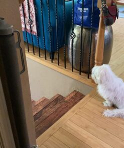 Perma Child Safety Indoor/Outdoor Retractable Baby Gate 33" Tall, Extends to 71" Wide, Gray Gray V1 33" Tall x 71" Wide 42 71y0hXQXvgL