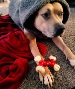 Nylabone Power Chew Double Bone Long Lasting Chew Toy for Dogs Medium - Up to 30 lbs. Medium up to 35 lbs. 31 71y0y4YGaGL