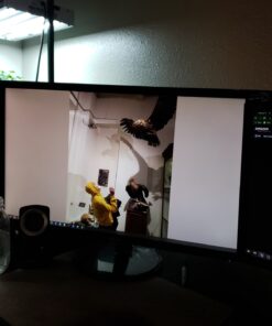 ASUS VP28UQG 28" 4K/UHD 3840x2160 1ms DP HDMI Adaptive Sync/FreeSync Eye Care Monitor 28" 4K 1ms Freesync 38 71y1sJNdNHL