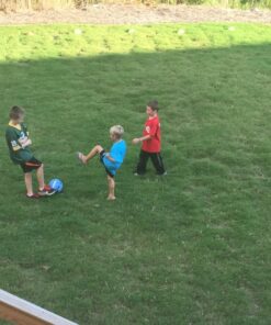 Franklin Sports Competition Soccer Goals - Backyard Portable Steel Soccer Goals - Adult + Youth Soccer Goal with Net + Ground Stakes Included - Multiple Sizes + Colors Non-Folding 12' x 6' Silver 39 71y2B8LD0LL