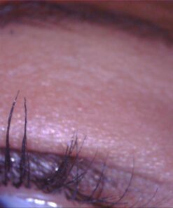 Vividia USB Digital Borescope Microscope with Professional Multi-Functional Metal Stand 12mm Diameter OTG Android and USB PC 32 71y31NgVPL