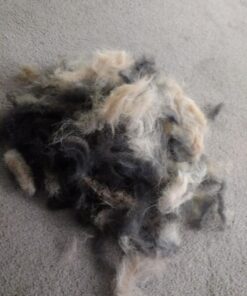 Paws & Pals Dog Brush - Gentle Soft Hair Rake Trimming Comb - Best for Shedding Dogs-Cats, Thick Long Short Haired Pet, Coat Grooming & Cat Hair Fur Removal - Self Cleaning - Deshedding Supplies 49 71y3Dr9By5L