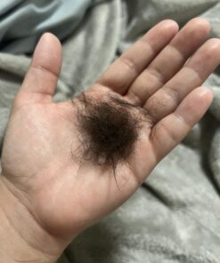 SleekEZ Original Deshedding Grooming Tool for Dogs, Cats & Horses - Undercoat Brush for Short & Long Hair - Painlessly Remove 95% of Loose Hair, Fur & Dirt - Easy to Clean - USA Made - (2.5 inch) 2.5 Inch (Pack of 1) 39 71y3xK zejL 1