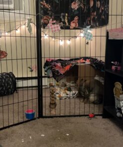 The First Years Stack & Count Stacking Cups - Toddler Toys - Learning and Baby Bath Toys for Kids - 8 Count 9 Piece Set 30 71y4QV2DmNL 2