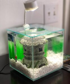 Marina CUBUS Glass Betta Kit – Elegant Glass Aquarium for Homes or Offices 49 71y4lphkcgL