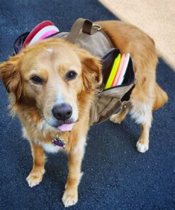 OneTigris Dog Pack Hound Travel Camping Hiking Backpack Saddle Bag Rucksack for Medium & Large Dog (Brown, Large) 11.4"L x 8.7"W x 2.4"H Brown 45 71yARu78lZL