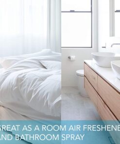 Diva Stuff Pillow Mist - Promotes Clear Skin & Protects from Acne-Causing Funk, Cleans Pillows, Pillowcases, Beddings, and Sheets, 4 fl oz Regular 4 Ounce (Pack of 1) 8 71yBikydLNL