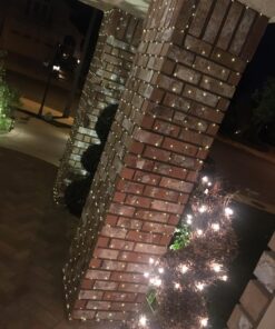 Lighting EVER Fairy Lights Plug in, 33ft 100 LED String Lights for Bedroom, Warm White Copper Wire Lights, Waterproof Indoor Outdoor Decorative Fairy Lights for Patio, Garden, Balcony, Vases, Craft 33 ft 58 71yCwYqbdVL