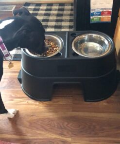 OurPets Comfort Diner Elevated Dog Food Dish (Bowls Available in 4 inches, 8 inches and 12 inches for Large , Medium and Small Dogs), Black, 12-inch 33 71yEH5Iy9nL