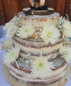 Safari Ltd. Gray Wolf Figurine - Detailed 3.75" Plastic Model Figure - Fun Educational Play Toy for Boys, Girls & Kids Ages 1+ 35 71yFvhWKWdL