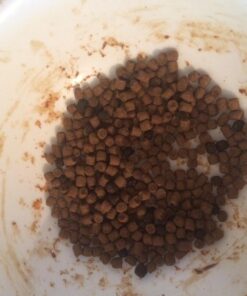 Blue Buffalo Cat Food, Natural Chicken Recipe, Wilderness High Protein, Adult Dry Cat Food, 12 lb bag 12 Pound (Pack of 1) 39 71yGEOQtkvL