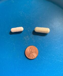 Vitamin Bounty Pro-Daily Probiotic - 13 Probiotic Strains, Gut Health, Digestive Health, Including Lactobacillus Acidophilus, Probiotic for Women and Men (Pro-25 Probiotics) Pro-25 Probiotics 39 71yGGjC4OPL