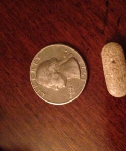 Boost Daily for Men Complete Natural Male Health Formula Maximum Male Health Support Blend of Natural Ingredients in One Daily Male Health Supplement. 13 71yGKgQSWHL