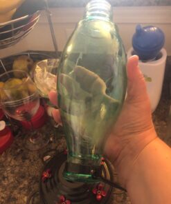 BOLITE 18001 Hummingbird Feeder, Glass Wild Hummingbird Feeders for Outdoors, Retro Edison Bulb Bottle, 25 Ounces, Green, Xmas Gifts for Bird Lovers Retro Bulb 39 71yIyuZr64L