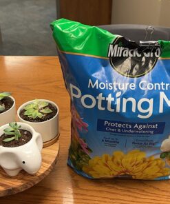 Miracle-Gro Moisture Control Potting Mix - Soil for Indoor & Outdoor Containers, Added Fertilizer Feeds Up to 6 Months, 8 qt. 8 qt. 43 71yQD3q3hsL
