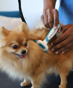 Paws & Pals Dog Brush - Gentle Soft Hair Rake Trimming Comb - Best for Shedding Dogs-Cats, Thick Long Short Haired Pet, Coat Grooming & Cat Hair Fur Removal - Self Cleaning - Deshedding Supplies 31 71yTL0LxrFL