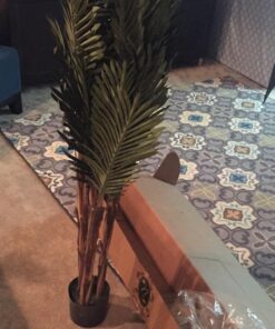 Nearly Natural 5283 Robellini Palm Silk Tree, 5-Feet, Green 60in. 17 71ya5VTL79L