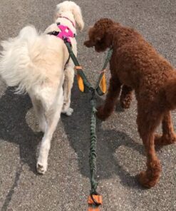 Exquisite Double Running Waist Leash for Large Dogs | Retractable Dog Leash 2 Dogs | Hands Free Leash for for Large Dogs | Two Dog Leash for Large Dogs | Leash for Big Dogs | HandsFree Dog Leash Khaki & Orange Two Large Dogs (35-150 lbs each) 26 71yaen4rv3L 1