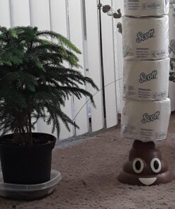 Scott® Professional 100% Recycled Fiber Standard Roll Toilet Paper (13217), with Elevated Design, 2-Ply, White, Individually wrapped rolls, 473 Count (Pack of 80), Total 37,840 Sheets 41 71yagc4oYOL