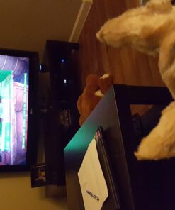 Fallout 4 - PlayStation 4 Standard 26 71ydAgXEeXL