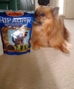 Zuke's Hip Action Hip & Joint Natural Dog Treats Crafted in the USA, 16 Ounce (Pack of 1) Peanut Butter & Oats 1.00 Pound (Pack of 1) 33 71ydEAbGfRL