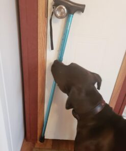 Vive Folding Cane - Foldable Walking Cane for Men, Women - Fold-up, Collapsible, Lightweight, Adjustable, Portable Hand Walking Stick - Balancing Mobility Aid - Sleek, Comfortable T Handles (Teal) Teal 32 71yg0Vpw26L