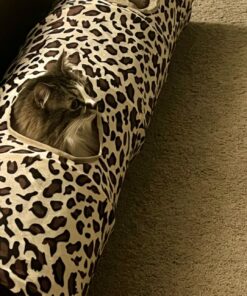 PAWZ Road Cat Toys Collapsible Tunnel Dog Tube for Fat Cat,Rabbits,Dogs Length 51" Diameter 12" Leopard Large-51" 29 71ygf Ert8L