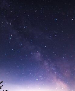 Rokinon 14mm f/2.8 IF ED UMC Ultra Wide Angle Fixed Lens w/ Built-in AE Chip for Nikon 63 71yiCE6O9FL