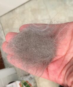 JW Petmate GripSoft Cat Brush, White & Blue, One Size 23 71yj7KaObpL