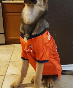 NFL Denver Broncos Dog Jersey, Size: X-Large. Best Football Jersey Costume for Dogs & Cats. Licensed Jersey Shirt 34 71yjTwhYL
