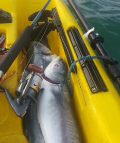 Sougayilang Spinning Fishing Reels with Left/Right Interchangeable Collapsible Wood Handle Powerful Metal Body 5.2:1/5.1:1 Gear Ratio Smooth 11BB for Inshore Boat Rock Freshwater Saltwater Fishing DK3000 33 71yjXf9k9rL