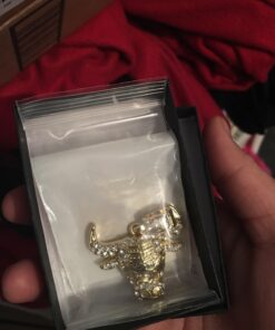 Mens Gold Tone Iced Out Bull Small Pendant with 5Mm 24", No Color, Size No Size 48 71ykCl0Mu9L