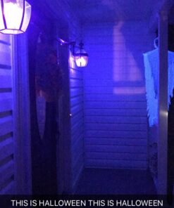 SLEEKLIGHTING 23 Watt T2 Black Light Spiral CFL Light Bulb, UL Approved- Blacklight Bulbs for Parties 120V, E26 Medium Base-Energy Saver (Pack of 4) 41 71ymPyDH2qL