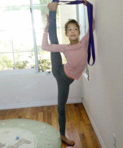 The PlumBand Stretch Band for Dance and Ballet – Colors and Sizes for Kids & Adults – Improve Your Splits, Strength, and Flexibility with Stretching – Printed Instruction Booklet and Travel Bag Plum Purple Regular 52 71ynRru lAL