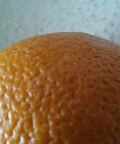 Samsung Galaxy Tab A 7"; 8 GB Wifi Tablet (Black) SM-T280NZKAXAR Black 71 71yoh6 QyL