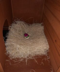 MagJo Premium Aspen 12 Pack Excelsior Nesting Liners (12 Pack), Chicken Bedding for Nesting Box, Nesting Pads Box Liners, Chicken Bedding for coop, Chick Bedding, USA Grown & Sustainably Harvested 42 71yqj7gz3CL