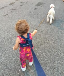 Toddler Leash & Harness for Child Safety - Keep Kids & Babies Close - Padded Shoulder Straps for Children's Comfort - Fits Toddlers w/ Chest Size 14-25.5 Inches - Kid Keeper by Mommy's Helper (Blue) 40 71yrvtswaL