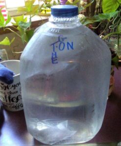 pH On-The-Go Portable Water Filter - Alkaline Pouch Filter for Water Bottles, Jugs, Pitchers, Container - High pH Water Alkalizer for Pure Drinking Water - 98 litres / 26 Gallons (3-Pack) 30g (3 Pack) 3 Pack 21 71yxcniso6L