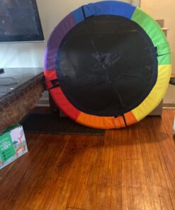 Sorbus 40" Saucer Swing for Kids - 220lbs Outdoor Swing Fun- Tree Glider Therapy Swing for Kids- Adjustable Ropes & Durable Swing Seat- Trampoline Net Swing for Swing Set,Backyard,Indoor/Outdoor,Gift 40 Inch 30 71yzZVKKuXL