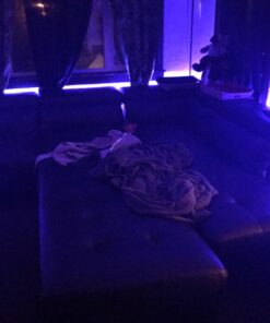 DAYBETTER Waterproof Led Strip Lights Kit 16.4ft RGB Color Changing Led Lights with Remote Controller for Bedroom Party Home Kicthen Room Decoration for Indoor Outdoor Use 16.4 ft 25 71z0A45sqLL