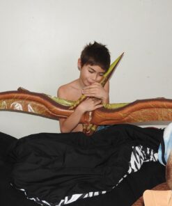 Jet Creations 57" Inflatable Pteranodon, Large Inflatable Dinosaurs Animals Toys for Indoor and Outdoor Play Pteranodon / Pterodactyl 42 71z0DYyG1nL