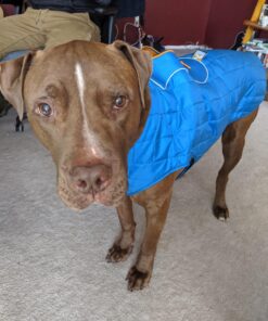 Kurgo Loft Dog Jacket, Reversible Dog Coat, Wear with Harness or Sweater, Water Resistant, Reflective, Winter Coat For Large Dogs (Coastal Blue, XL) Extra Large Coastal Blue/Orange 75 71z3GkEULL