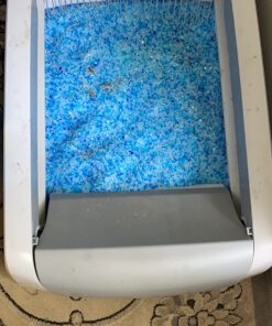 PetSafe ScoopFree Crystal Litter Tray Refills, Premium Blue Crystals, 3-Pack, Disposable Tray, Includes Leak Protection & Low Tracking Litter, Absorbs Odors On Contact 3 Trays 40 71z3YlNJQYL 1